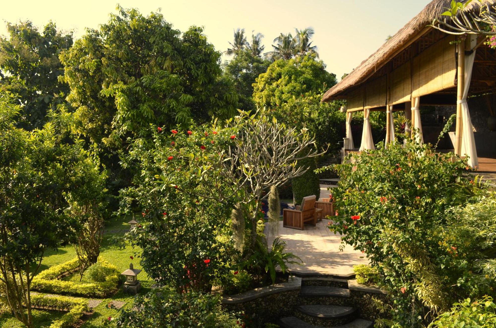 Alamanda Hotel Lovina Beach